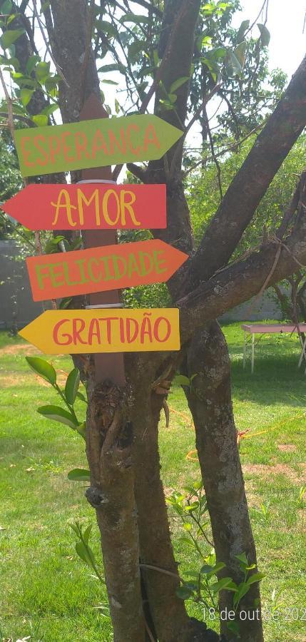 Flor E Cor *